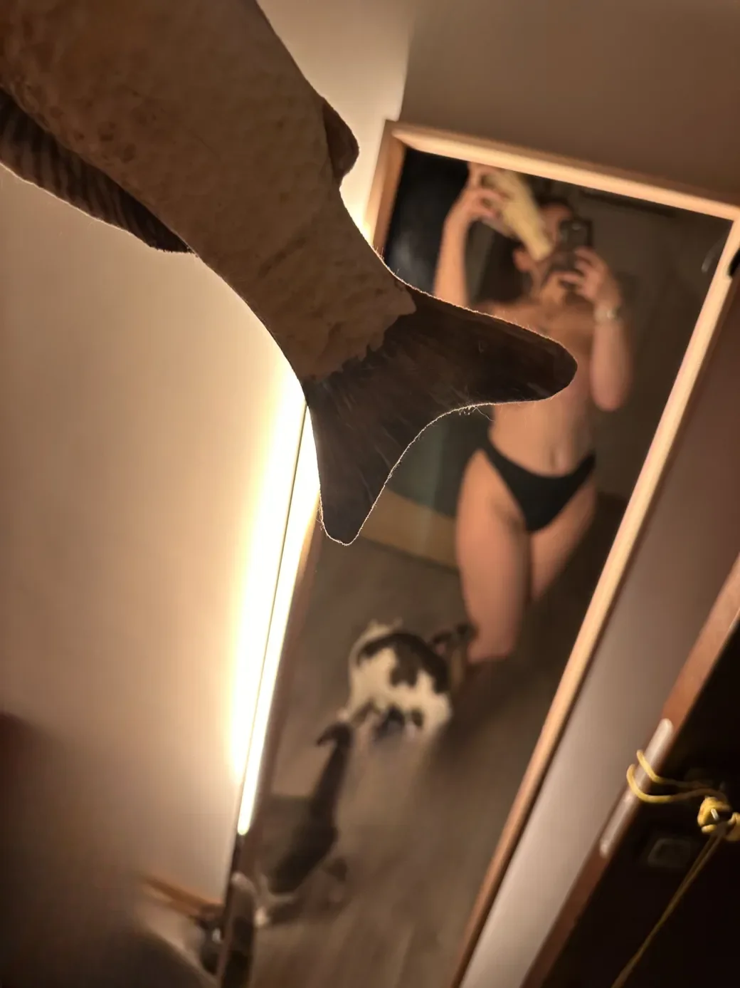 Alisa Fox thumbnail 3